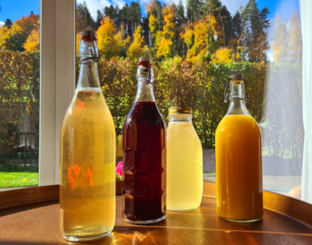 Fermentation Kefir Kombucha Kwas